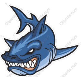Menacing Shark