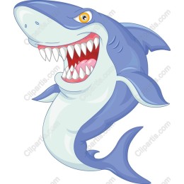 Cartoon Shark