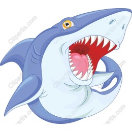 Playful Shark
