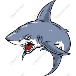 Dynamic Shark