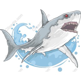 Majestic Shark