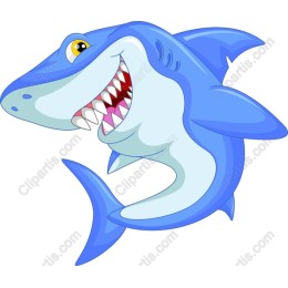 Whimsical Cartoon Shark