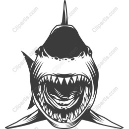 Fierce Shark