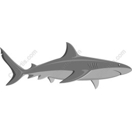 Premium Shark