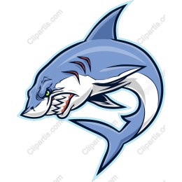 Fierce Shark Art