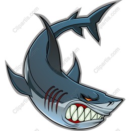 Fierce Shark