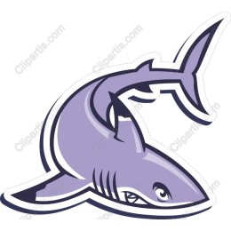 Stylized Shark