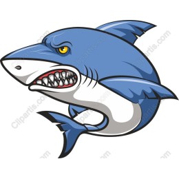 Fierce Shark