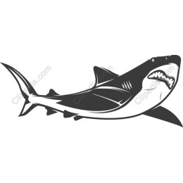 Fierce Shark