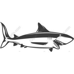 Fierce Shark