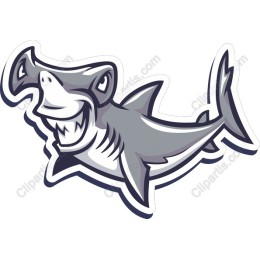 Hammerhead Shark