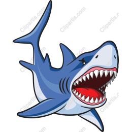 Fierce Cartoon Shark