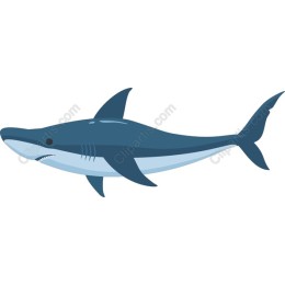 Shark