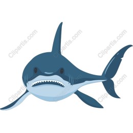 Fierce Shark