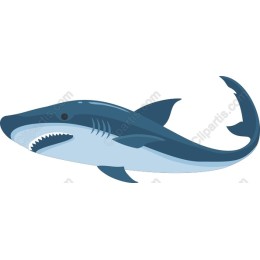 Majestic Shark