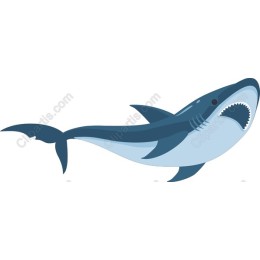 Dynamic Shark