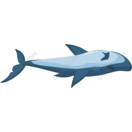 Majestic Shark