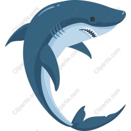 Majestic Shark