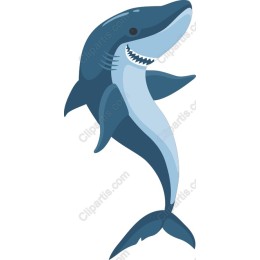 Shark - Dynamic Ocean Graphic
