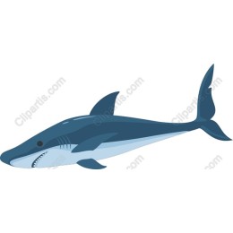 Shark