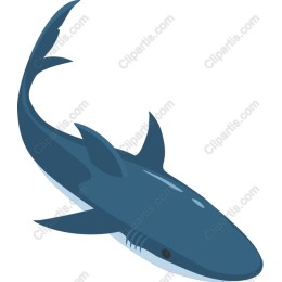 Shark