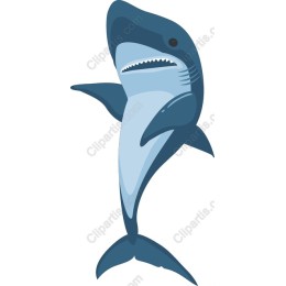 Stylized Shark
