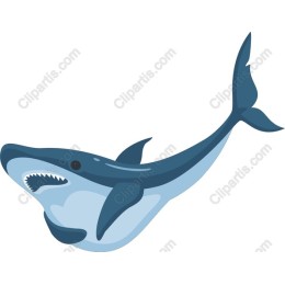 Shark