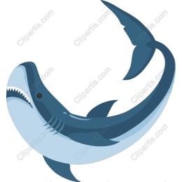 Ocean Predator Shark