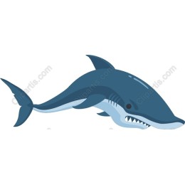 Shark: Fierce Marine Predator in and