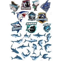 Shark Attack Bundle