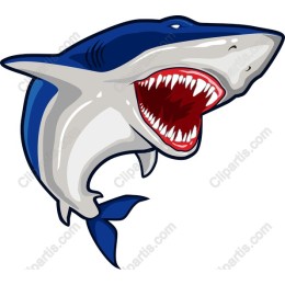 Great White Shark