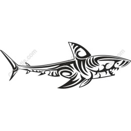 Tribal Shark