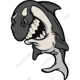 Playful Shark Cartoon