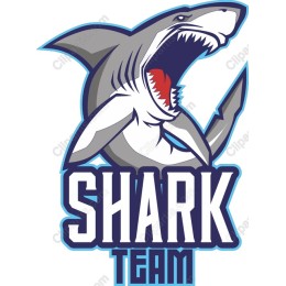 Shark Team