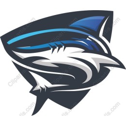 Dynamic Shark
