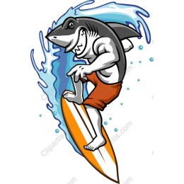 Surfing Shark