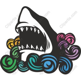 Vibrant Shark work