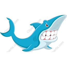 Playful Blue Shark