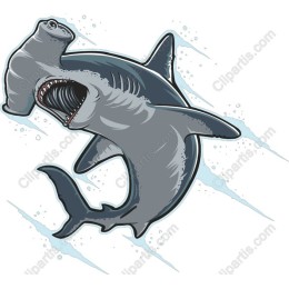 Hammerhead Shark