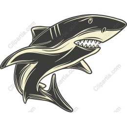 Shark - Vintage Aesthetic
