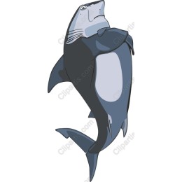 Stunning Shark