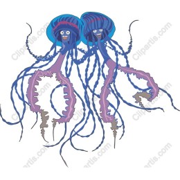 Whimsical Jellyfish Duo