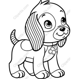 Adorable Puppy