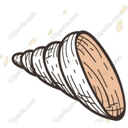 Hand-Drawn Seashell