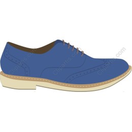 Stylish Blue Dress Shoe