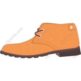 Stylish Orange Shoe