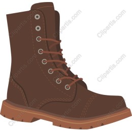Brown Boots
