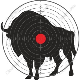 Bison Target Practice