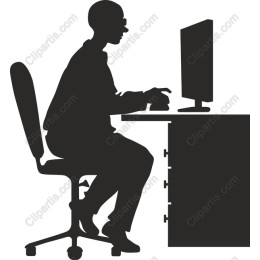 Professional Working at Computer