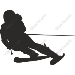 Dynamic Skier